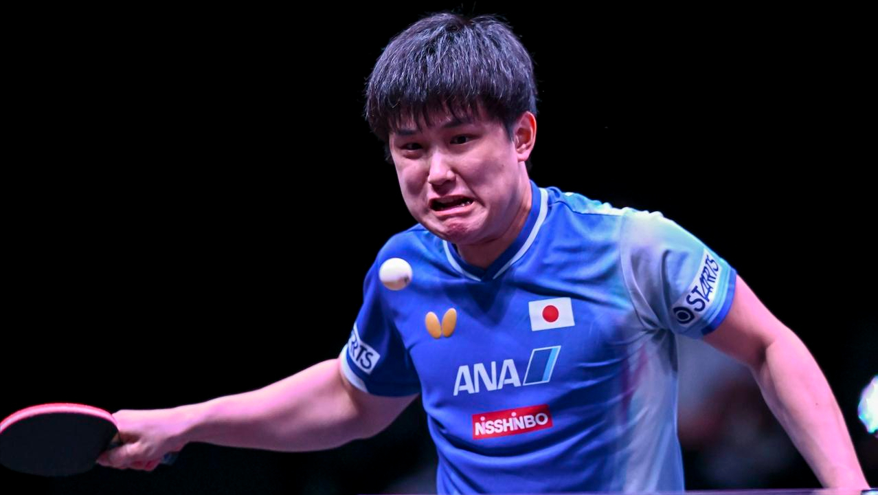 开云娱乐-国乒再战张本智和！WTT多哈赛今日赛程出炉，将诞生两项冠军