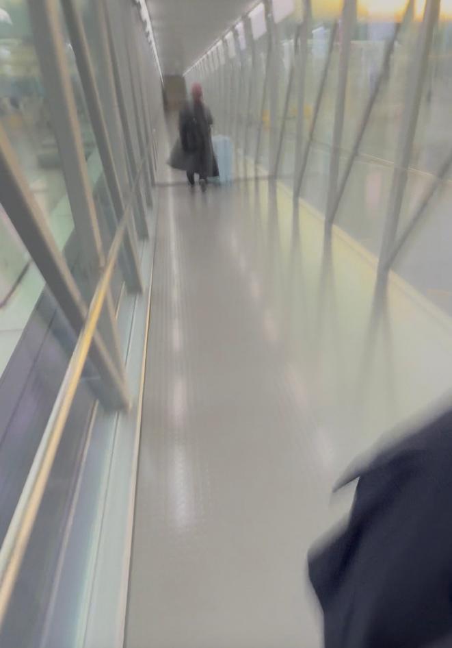 女子飞上海看病被拒载:航司拒赔黄牛票,3万白花,本人怒怼网友